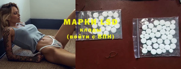 амф Верхний Тагил