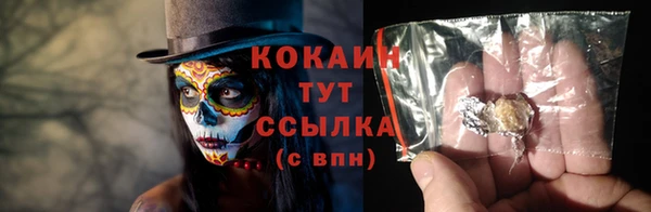 амф Верхний Тагил