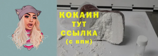 амф Верхний Тагил