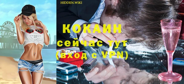 амф Верхний Тагил