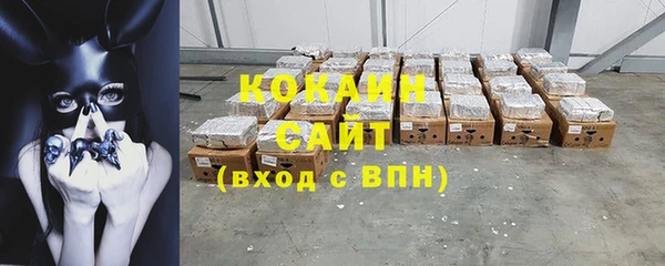 амф Верхний Тагил