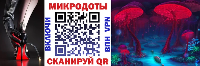 Псилоцибиновые грибы GOLDEN TEACHER  Купить закладки  Малаховка 